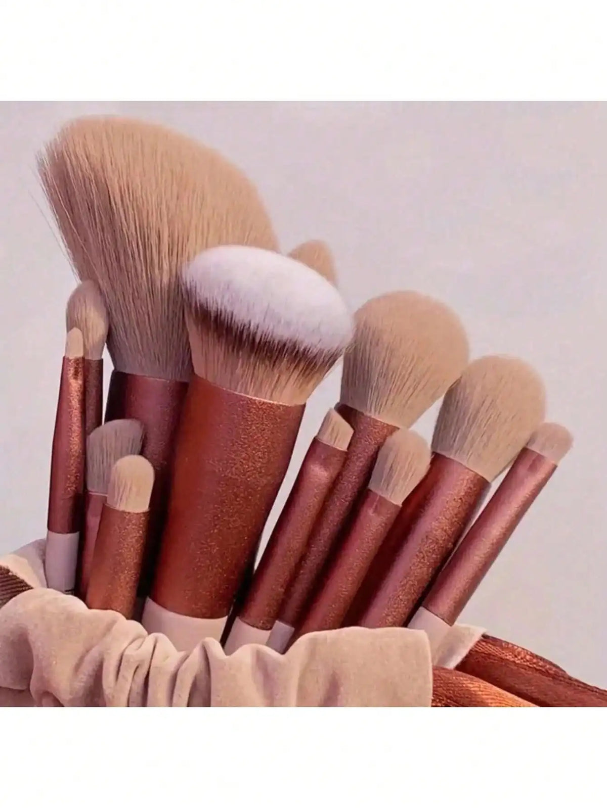 Professional Makeup Brush Set With Cosmetic Sponge And Case